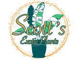 Scott’s Exotic Plants