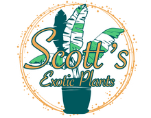 Scott’s Exotic Plants